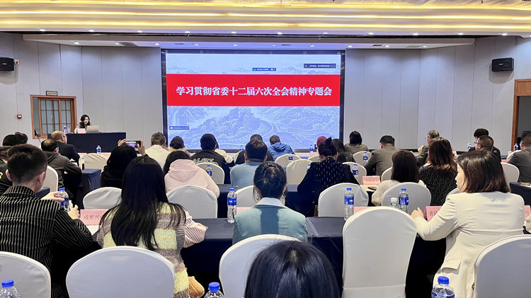 我省小额贷款公司线上学习贯彻省委十二届六次全会精神视频
